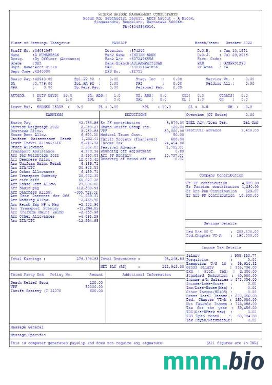 Szablon Wisdom Bridge Management Consultants payslip w formatach Word i PDF, 5